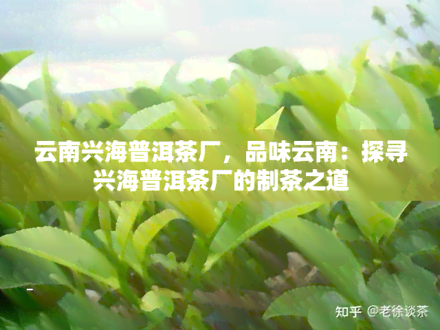 云南兴海普洱茶厂，品味云南：探寻兴海普洱茶厂的制茶之道