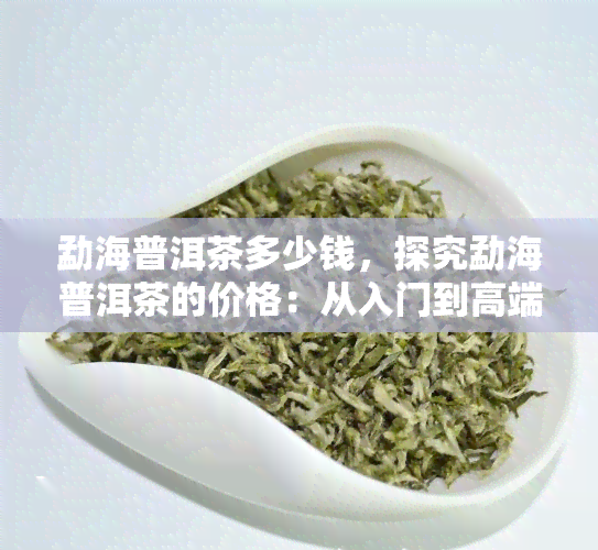 勐海普洱茶多少钱，探究勐海普洱茶的价格：从入门到高端的全面解析