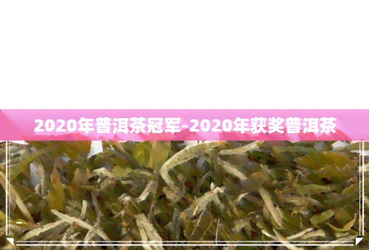 2020年普洱茶冠军-2020年获奖普洱茶