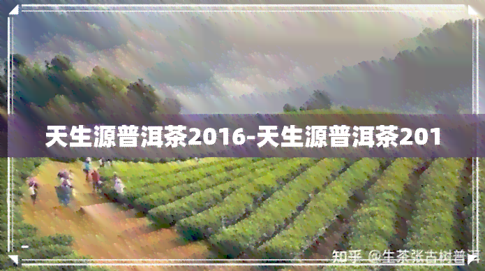 天生源普洱茶2016-天生源普洱茶2010