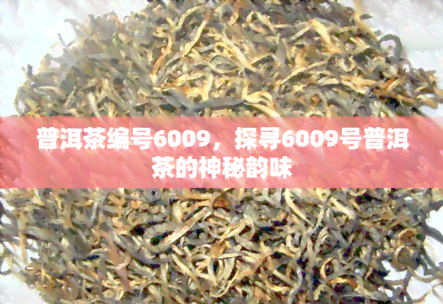 普洱茶编号6009，探寻6009号普洱茶的神秘韵味