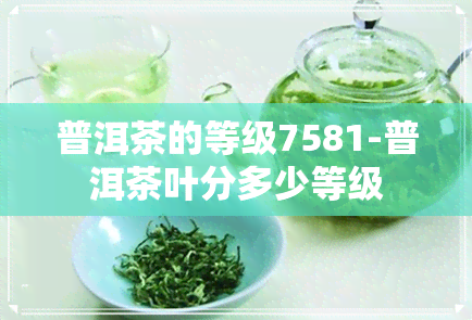 普洱茶的等级7581-普洱茶叶分多少等级