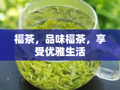 福茶，品味福茶，享受优雅生活