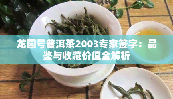 龙园号普洱茶2003专家签字：品鉴与收藏价值全解析