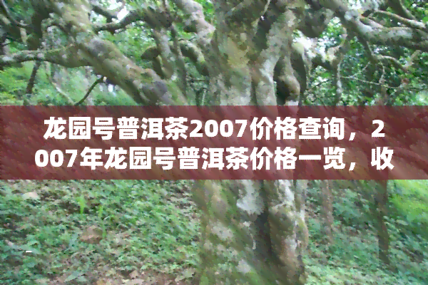 龙园号普洱茶2007价格查询，2007年龙园号普洱茶价格一览，收藏必备！