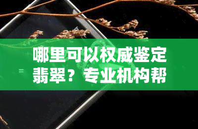 哪里可以权威鉴定翡翠？专业机构帮你辨别真伪，包括手镯、玉石等全面覆盖！