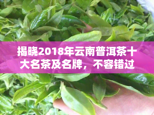 揭晓2018年云南普洱茶十大名茶及名牌，不容错过的茶叶宴！