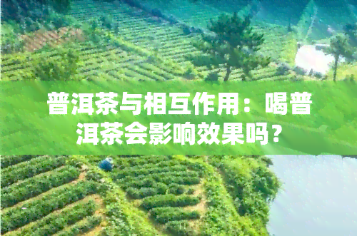 普洱茶与相互作用：喝普洱茶会影响效果吗？