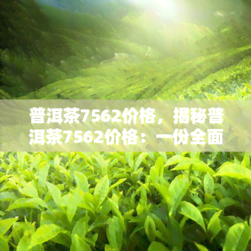 普洱茶7562价格，揭秘普洱茶7562价格：一份全面的市场分析和购买指南