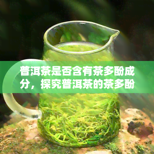 普洱茶是否含有茶多酚成分，探究普洱茶的茶多酚含量：它真的存在吗？