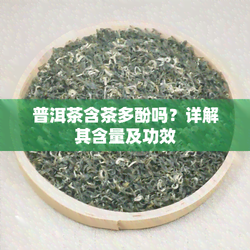 普洱茶含茶多酚吗？详解其含量及功效