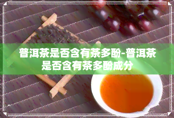 普洱茶是否含有茶多酚-普洱茶是否含有茶多酚成分