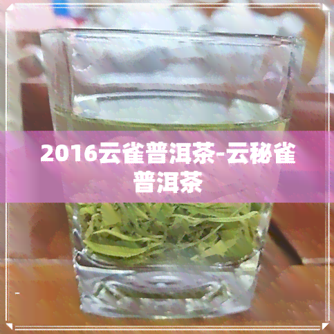 2016云雀普洱茶-云秘雀普洱茶