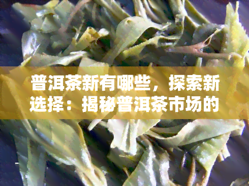 普洱茶新有哪些，探索新选择：揭秘普洱茶市场的新