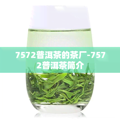 7572普洱茶的茶厂-7572普洱茶简介