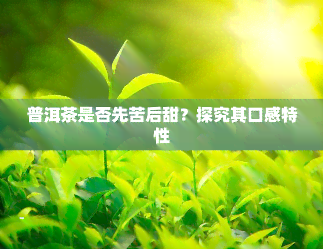 普洱茶是否先苦后甜？探究其口感特性