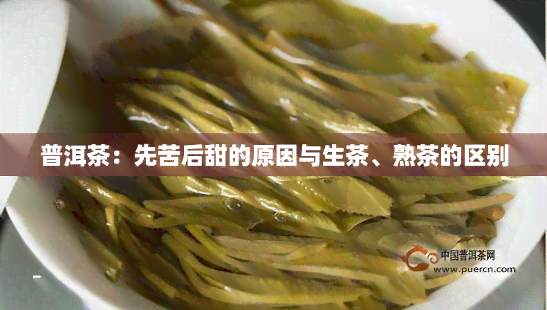 普洱茶：先苦后甜的原因与生茶、熟茶的区别