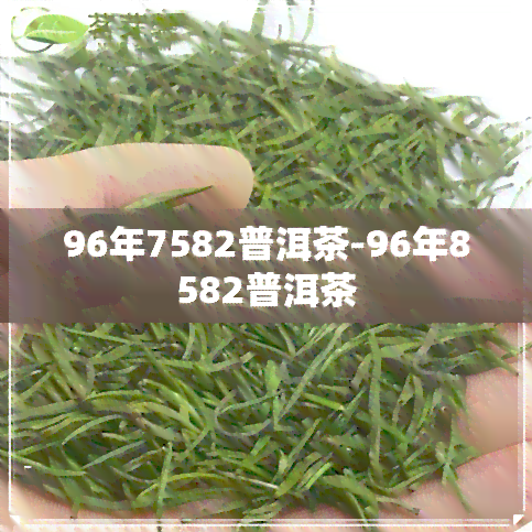 96年7582普洱茶-96年8582普洱茶