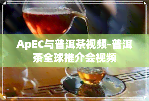 ApEC与普洱茶视频-普洱茶全球推介会视频