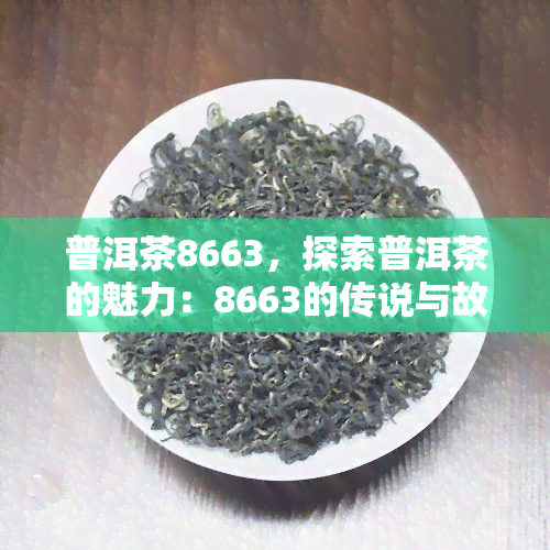 普洱茶8663，探索普洱茶的魅力：8663的传说与故事