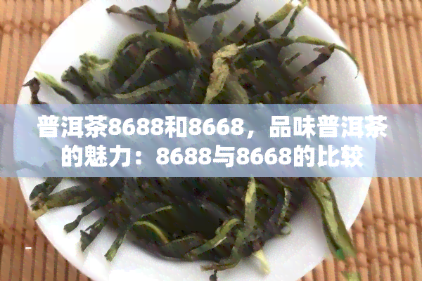 普洱茶8688和8668，品味普洱茶的魅力：8688与8668的比较