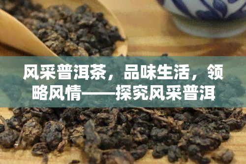 风采普洱茶，品味生活，领略风情——探究风采普洱茶的魅力