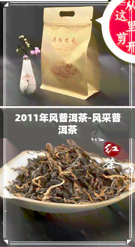 2011年风普洱茶-风采普洱茶