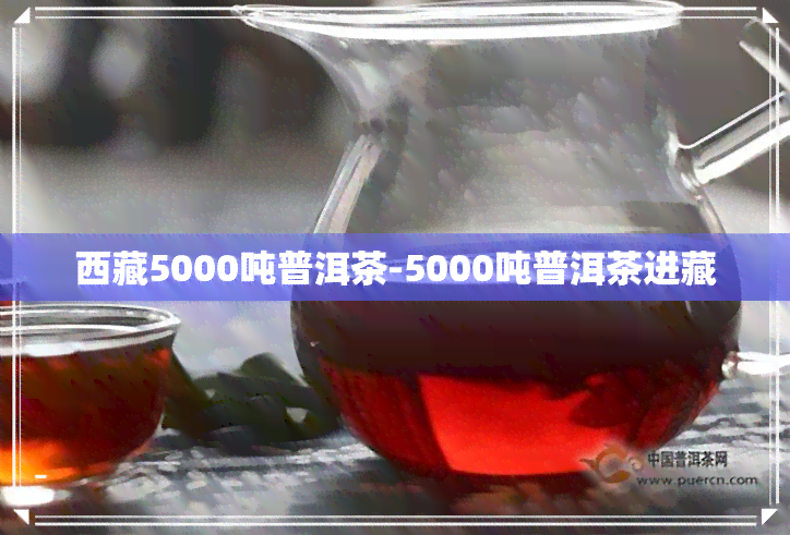  *** 5000吨普洱茶-5000吨普洱茶进藏