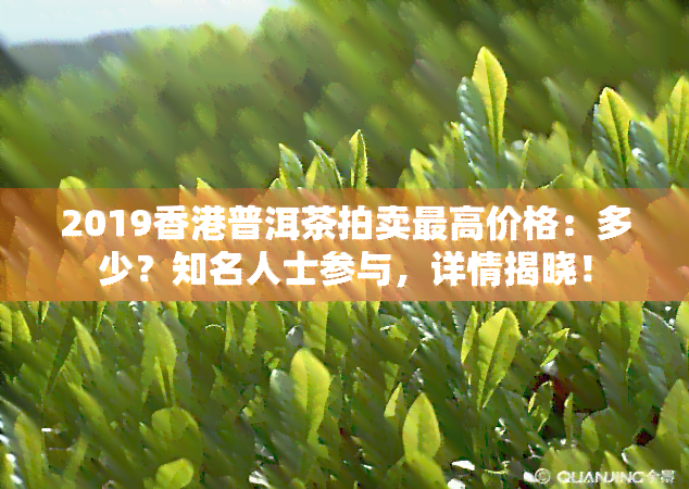 2019普洱茶拍卖更高价格：多少？知名人士参与，详情揭晓！