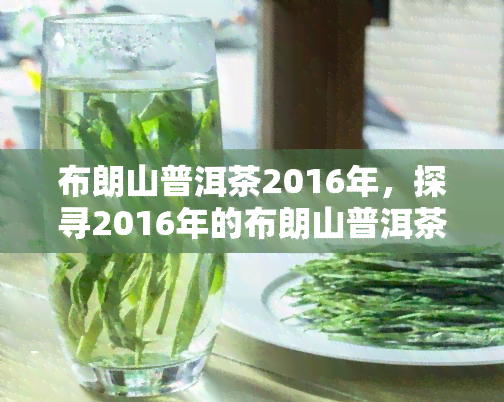 布朗山普洱茶2016年，探寻2016年的布朗山普洱茶：一次独特的味觉之旅