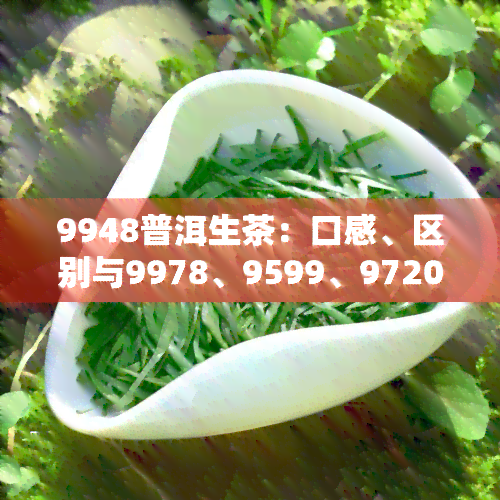 9948普洱生茶：口感、区别与9978、9599、9720的比较