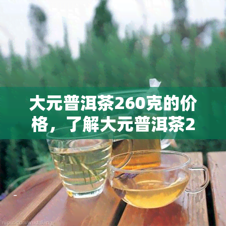 大元普洱茶260克的价格，了解大元普洱茶260克的最新价格信息！