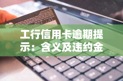 工行信用卡逾期提示：含义及违约金计算方法全解析