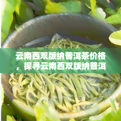 云南西双版纳普洱茶价格，探寻云南西双版纳普洱茶的市场价格