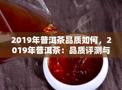 2019年普洱茶品质如何，2019年普洱茶：品质评测与分析