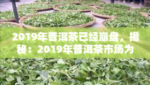 2019年普洱茶已经 *** ，揭秘：2019年普洱茶市场为何 *** ？