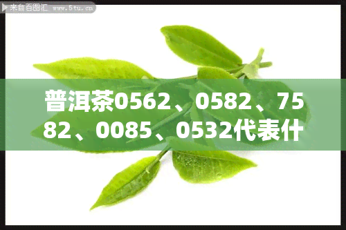 普洱茶0562、0582、7582、0085、0532代表什么？