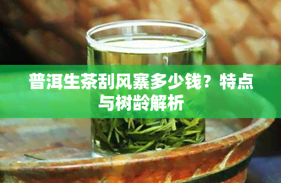 普洱生茶刮风寨多少钱？特点与树龄解析