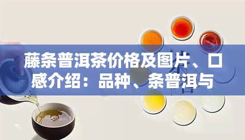 藤条普洱茶价格及图片、口感介绍：品种、条普洱与藤条王的价格比较，2015年藤条古树普洱茶详解