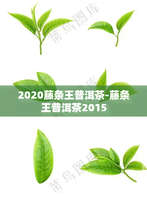 2020藤条王普洱茶-藤条王普洱茶2015