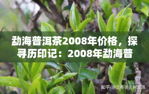 勐海普洱茶2008年价格，探寻历印记：2008年勐海普洱茶的价格回顾与分析