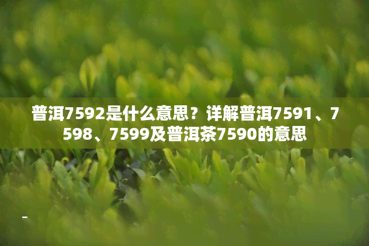 普洱7592是什么意思？详解普洱7591、7598、7599及普洱茶7590的意思