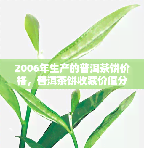 2006年生产的普洱茶饼价格，普洱茶饼收藏价值分析：2006年生产的普洱茶饼价格走势及前景展望