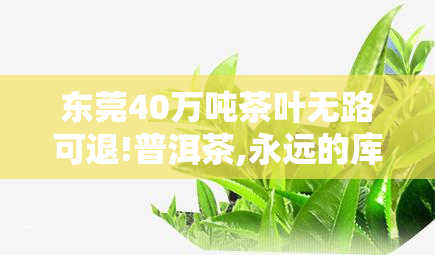 东莞40万吨茶叶无路可退!普洱茶,永远的库存之殇，东莞40万吨茶叶困局：普洱茶库存之痛何时休？