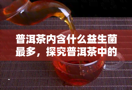 普洱茶内含什么益生菌最多，探究普洱茶中的益生菌种类与含量