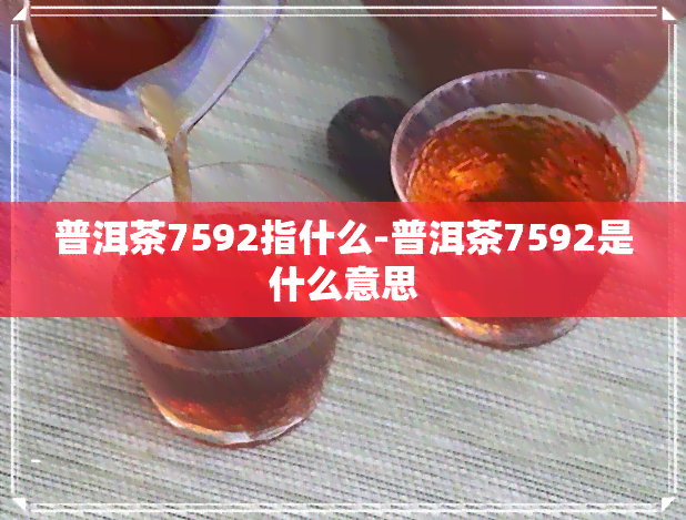 普洱茶7592指什么-普洱茶7592是什么意思