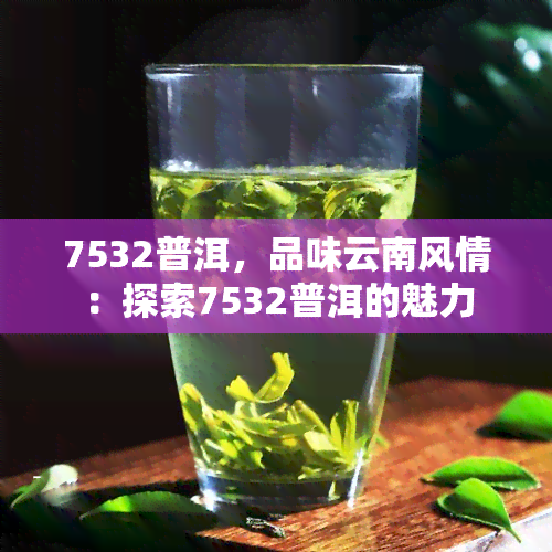 7532普洱，品味云南风情：探索7532普洱的魅力