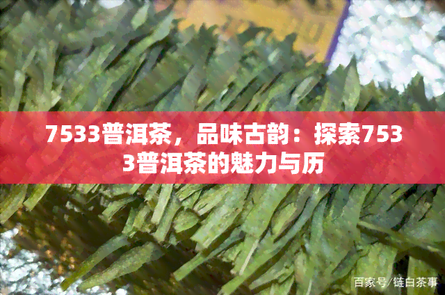 7533普洱茶，品味古韵：探索7533普洱茶的魅力与历