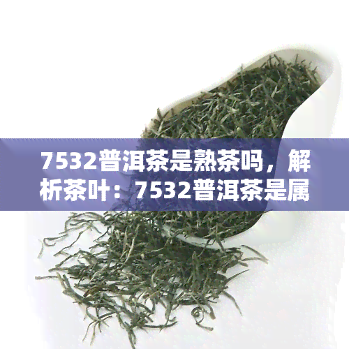 7532普洱茶是熟茶吗，解析茶叶：7532普洱茶是属于熟茶还是生茶？