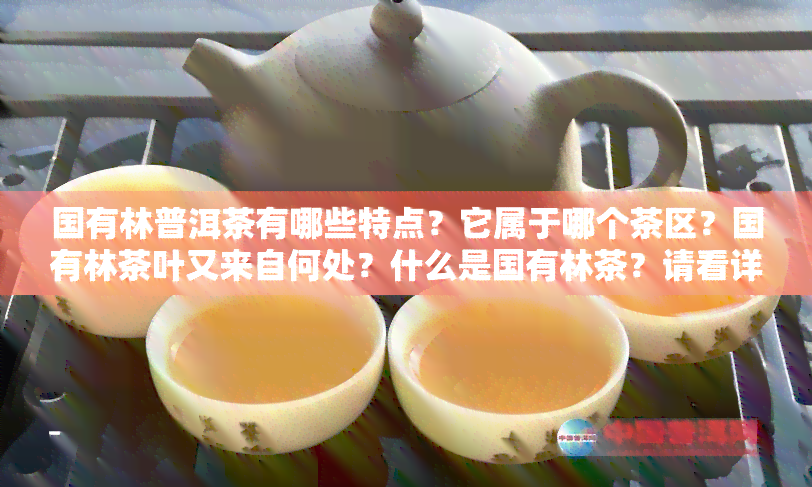 国有林普洱茶有哪些特点？它属于哪个茶区？国有林茶叶又来自何处？什么是国有林茶？请看详细介绍。